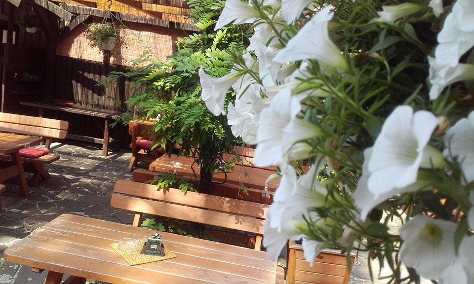 Penzion A Restaurace U Mamy Ξενοδοχείο Frýdek-Místek Εξωτερικό φωτογραφία